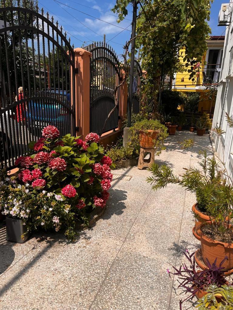 Guest House Chexovi 24 Kobuleti Exterior foto